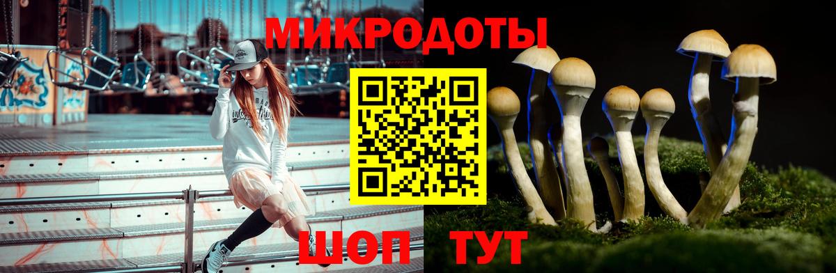 купить   Псилоцибиновые грибы Psilocybe  Псилоцибиновые грибы Magic Shrooms  Вход с VPN  Южно-Сахалинск 